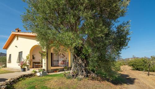 Villa with Garden View