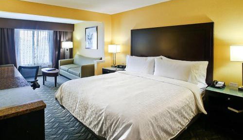 Standard King Room