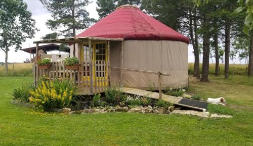 Tent