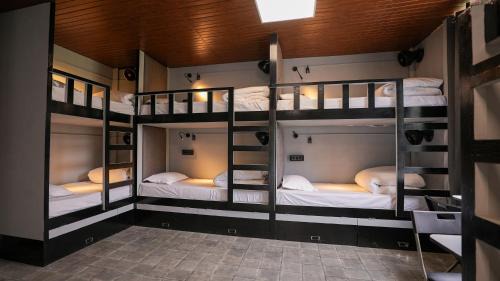 Bunk Bed in Mixed Dormitory Room