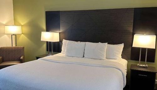 Deluxe King Room