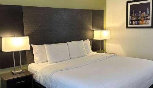 King Room with One King Bed and Walk-In Shower - Mobility Accessible/Non-Smoking