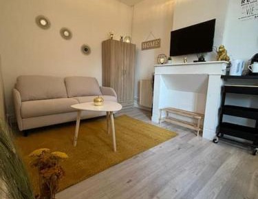 Studio with Sofa Bed