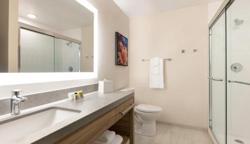 Studio Suite