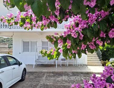Apartment with Garden View