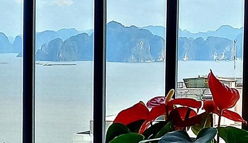 Studio with Sea View