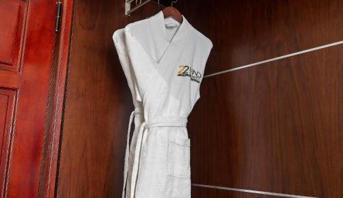 Deluxe Double or Twin Room with City View