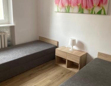 One-Bedroom Family Apartment