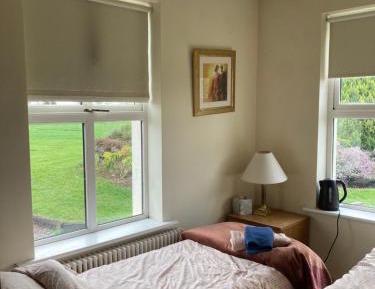 Budget Twin Room