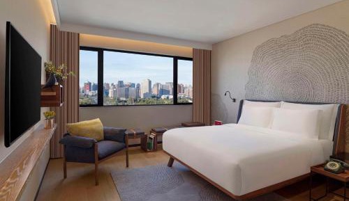 Wellness Suite with One King Bed