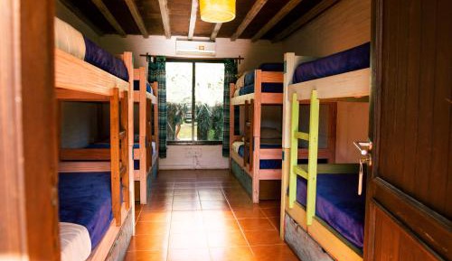 8-Bed Mixed Dormitory Room