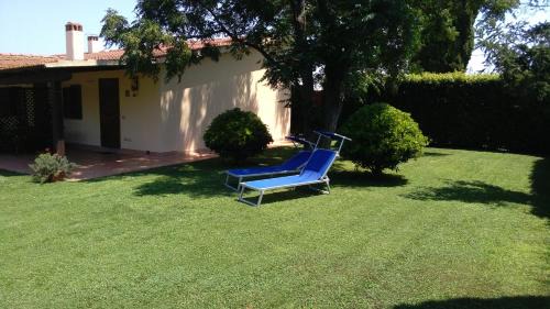 Deluxe Studio