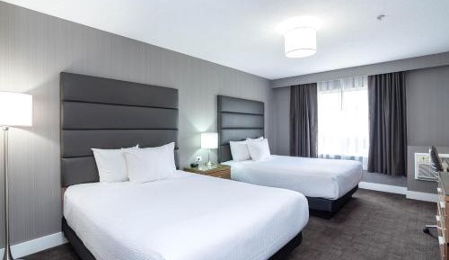 Standard Room, 2 Queen Beds