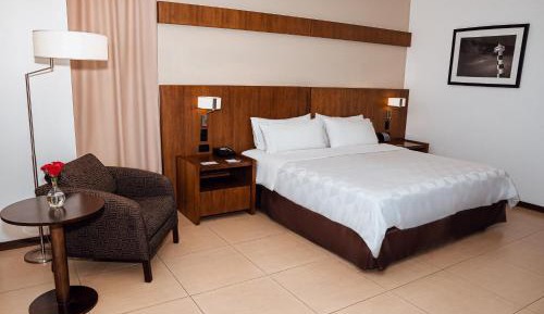 Standard King Room with City View