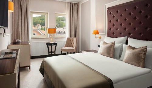 Special Offer - Superior Double Room with Wellness Package