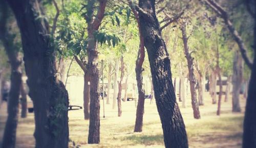 Empty Lot