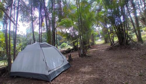 Tent