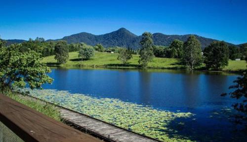 Bungalow - Water Front 