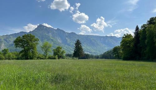 Double Room with Mountain View