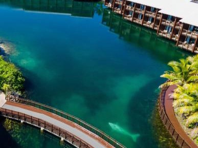 Lagoon Front, Guest room, 1 King, Balcony