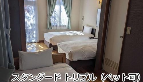 Standard Triple Room - Pets Allowed