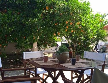Apartment with Garden View