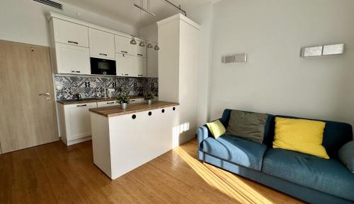One-Bedroom Apartment with Spa Bath