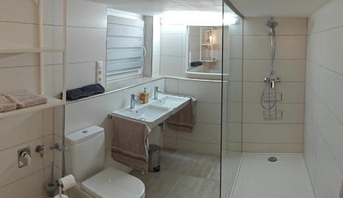 One-Bedroom Apartment with Terrace