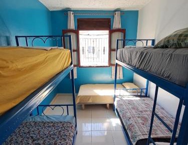Bed in 4-Bed Mixed Dormitory Room