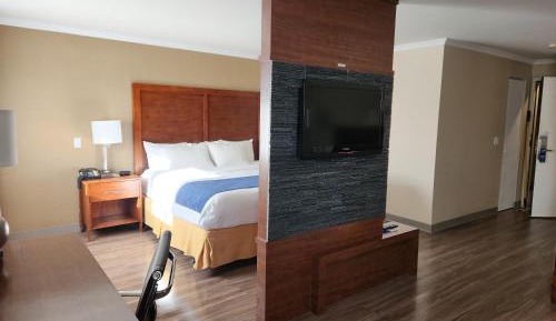 Superior King Suite - Non-Smoking