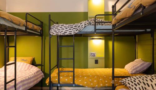 Bunk Bed in 12-Bed Mixed Dormitory Room