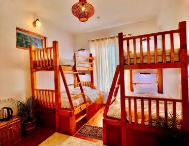 Bunk Bed in Mixed Dormitory Room