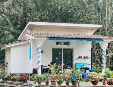 Deluxe Bungalow
