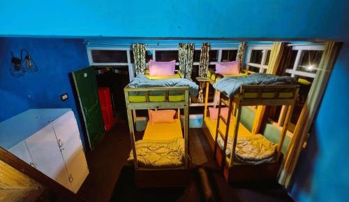 Bunk Bed in Female Dormitory Room  