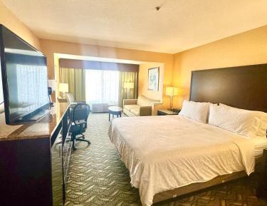 King Suite