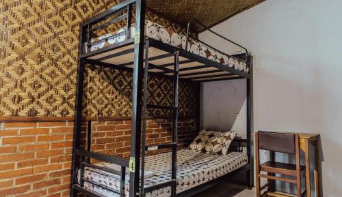 Bunk Bed in Female Dormitory Room  