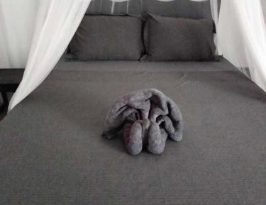 Deluxe Double Room with Sea View