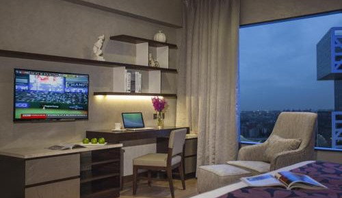 One-Bedroom Deluxe Apartment