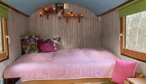 Mobile Home