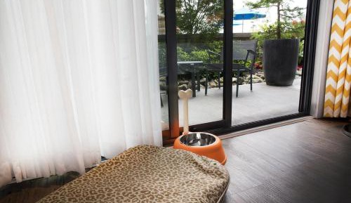 King Room - Pet Friendly