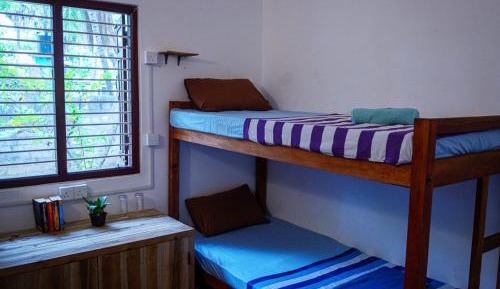 Bed in 4-Bed Dormitory Room