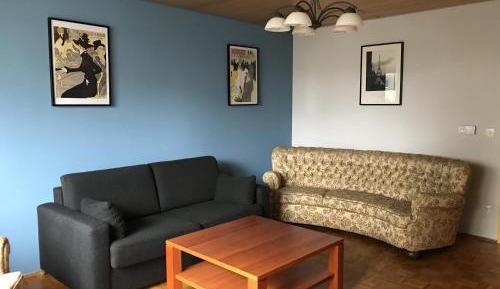 Superior One-Bedroom Apartment with Balcony
