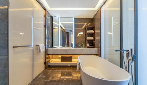 Premium Bathtub King Room