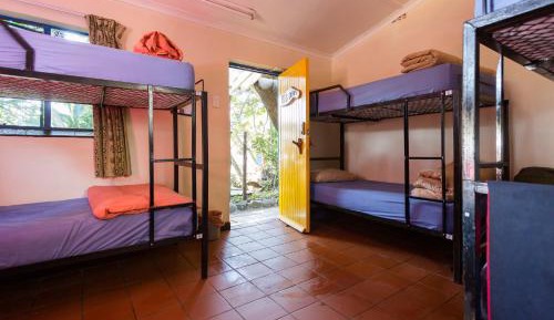 Bed in 8-Bed Mixed Dormitory Room
