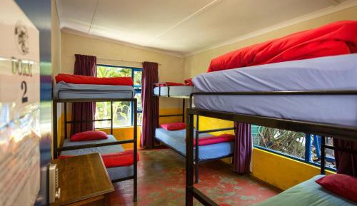 Bunk Bed in Mixed Dormitory Room