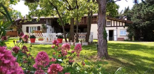 Cottage (6 Adults)