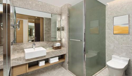 Deluxe King Room with City View