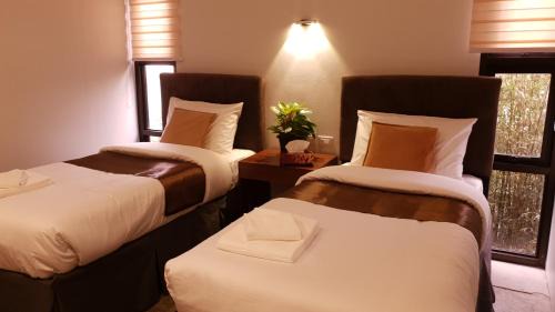 Standard Twin Room