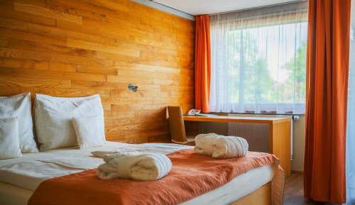 Superior Double Room with Free Wellness Entrance