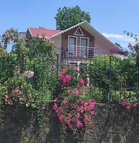Standard Villa